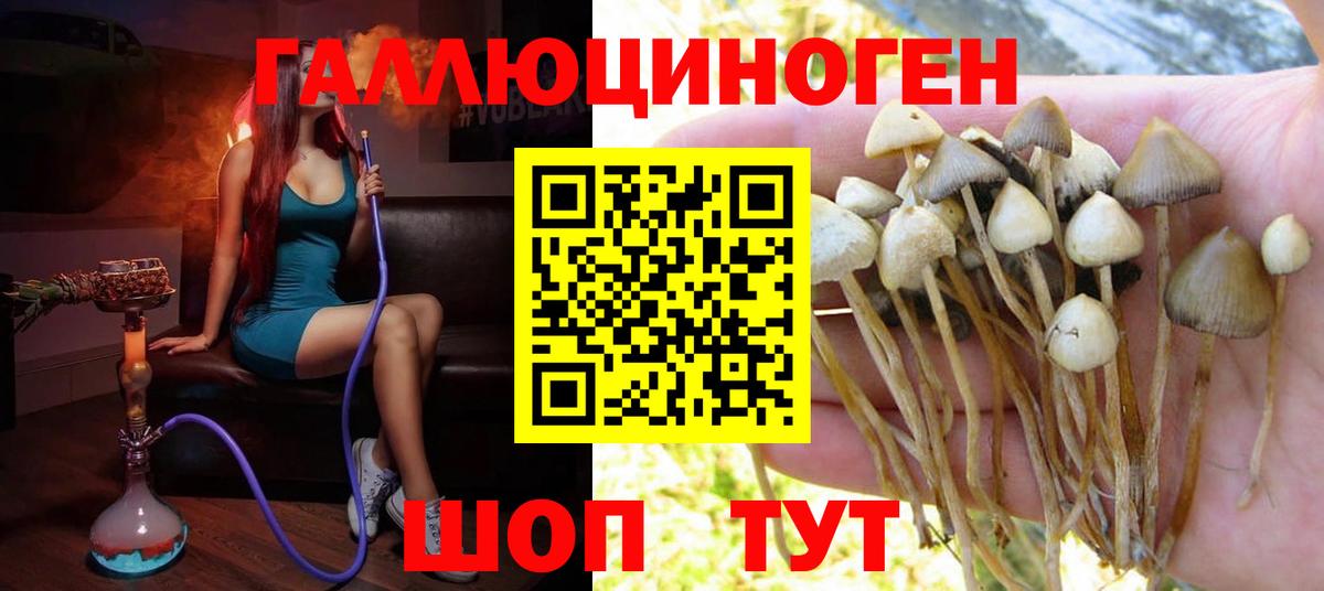 Красноармейск  Галлюциногенные грибы MAGIC MUSHROOMS  Вход с VPN 