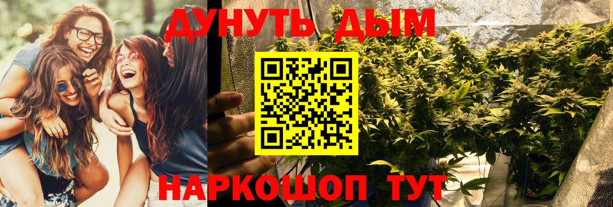 Шишки марихуана Amnesia Красноармейск